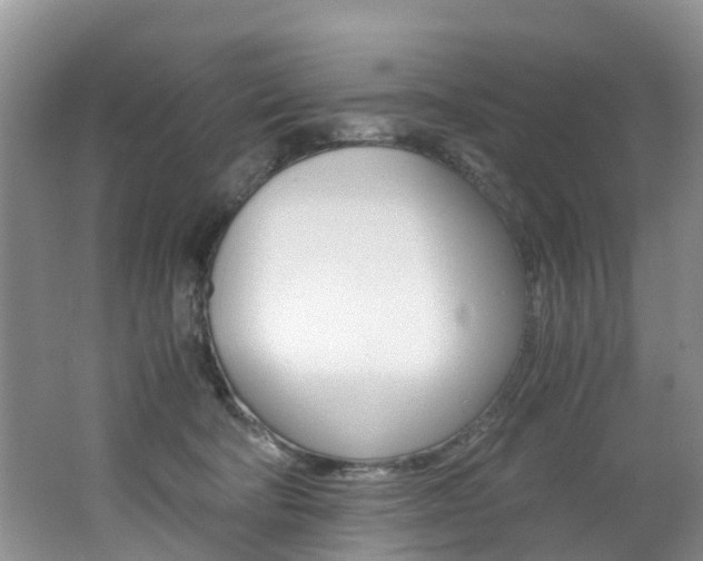 X0000062650322200512211041
