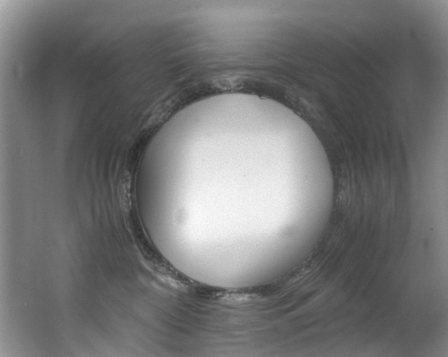 X0000062650332200512211041