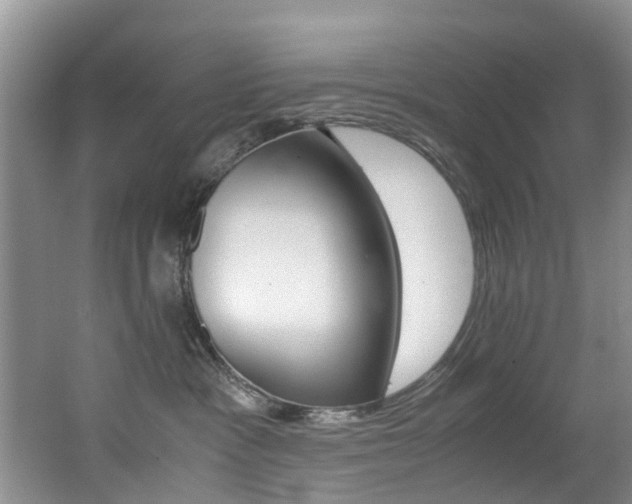X0000062650333200512211041