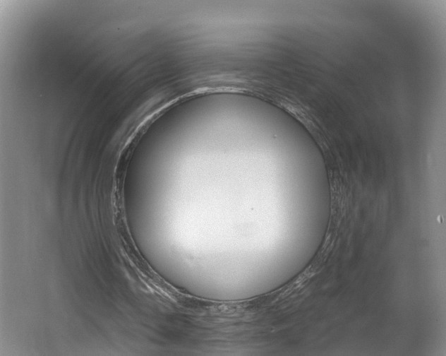X0000062650338200512211040