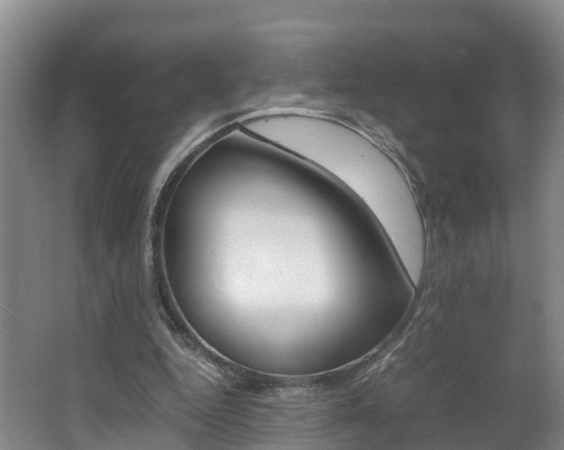 X0000062650344200512211040