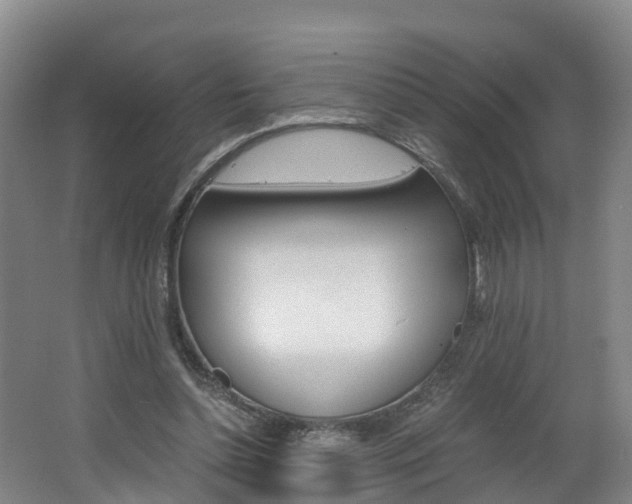 X0000062650348200512211040