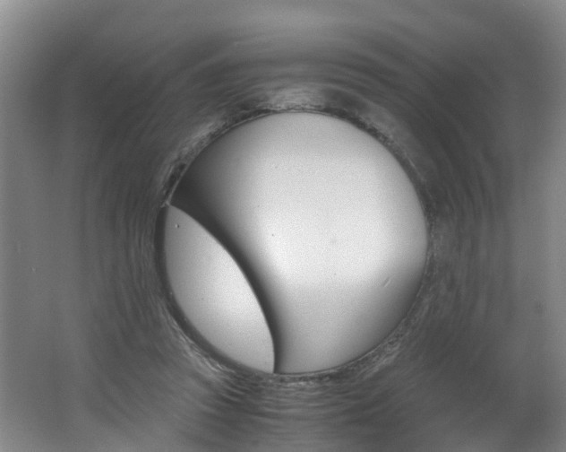 X0000062650353200512211040