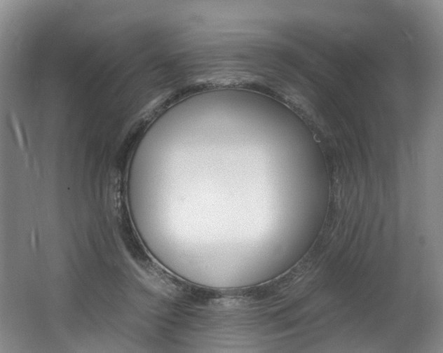 X0000062650356200512211040