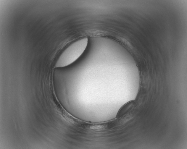 X0000062650357200512211040