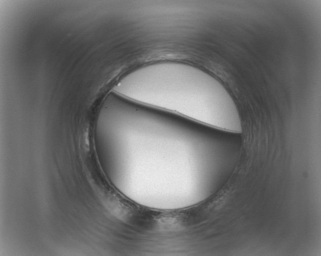 X0000062650358200512211040