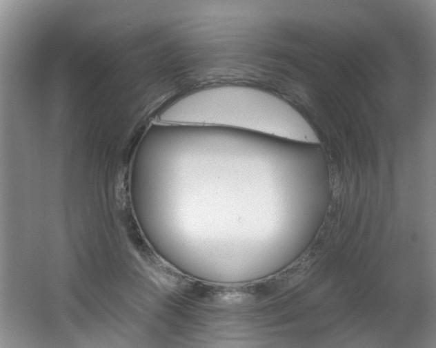 X0000062650360200512211040
