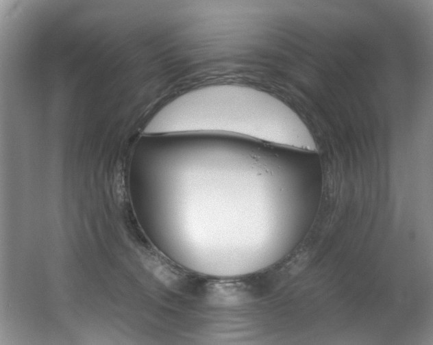 X0000062650372200512211040