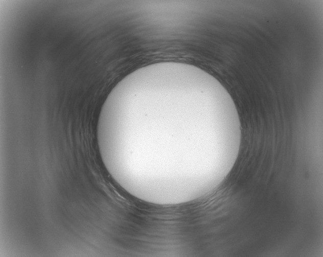X0000062650380200512211040