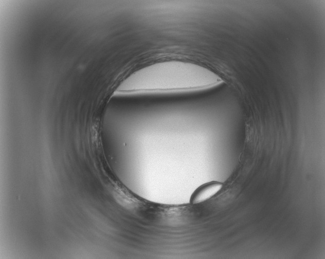 X0000062650382200512211040