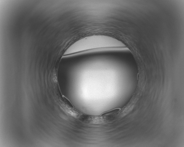 X0000062650384200512211040