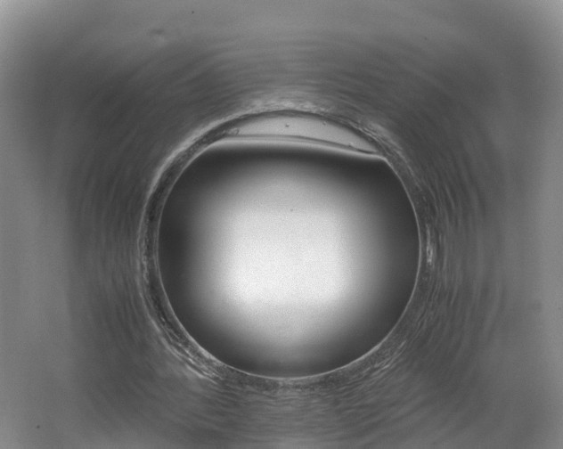 X0000062650388200512211040