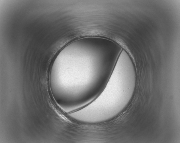X0000062650389200512211040