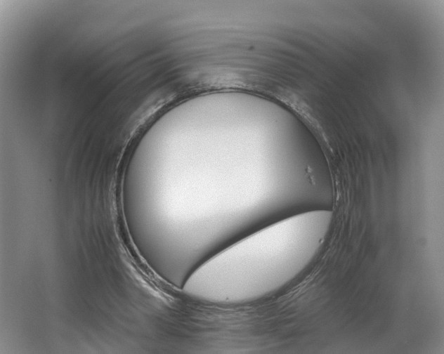 X0000062650390200512211040