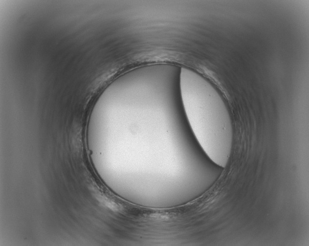 X0000062650394200512211039