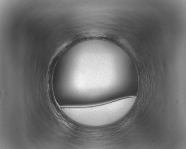 X0000062650395200512211039