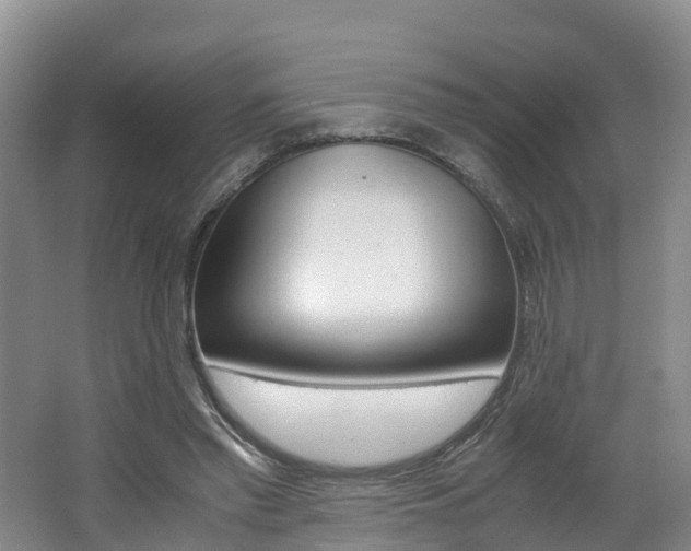 X0000062650397200512211039