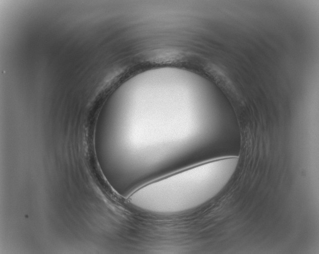 X0000062650400200512211039