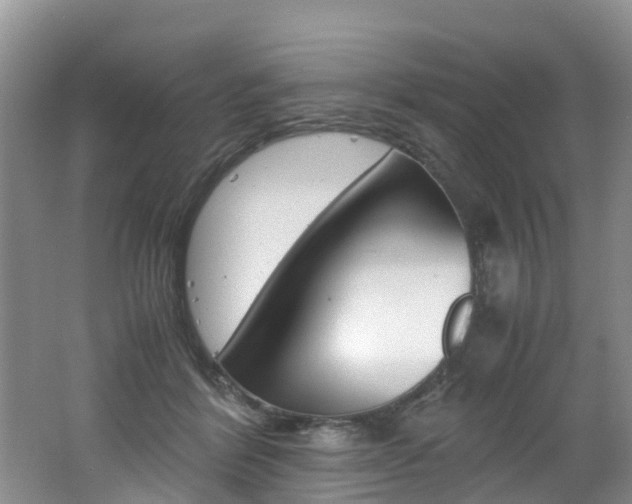 X0000062650412200512211039