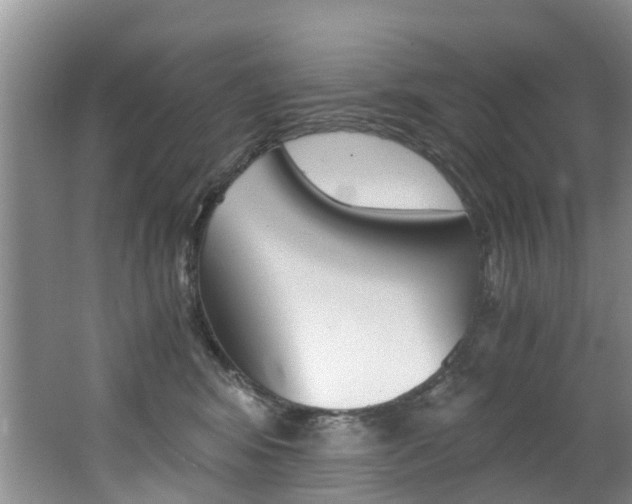X0000062650424200512211039