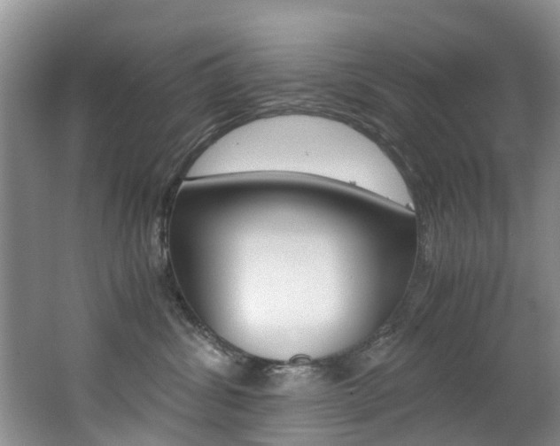 X0000062650428200512211039