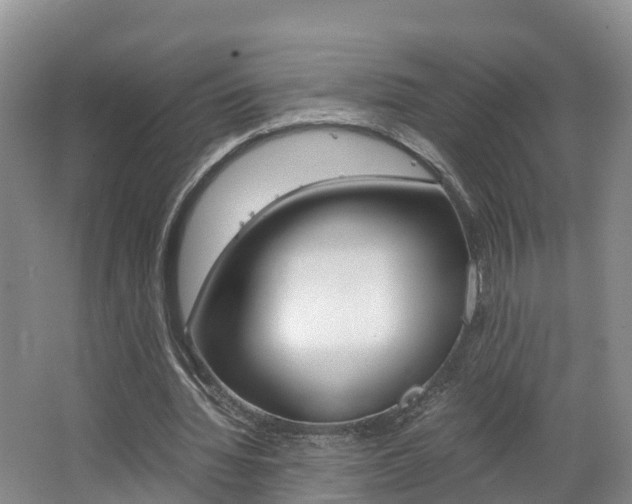 X0000062650436200512211038