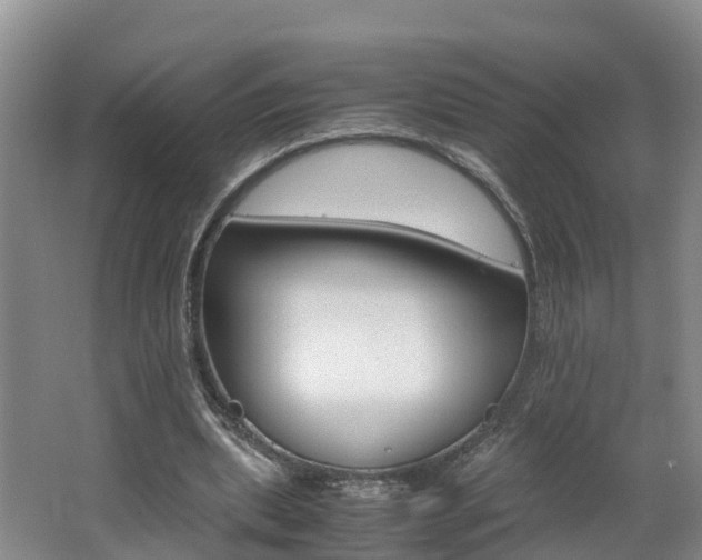X0000062650439200512211038