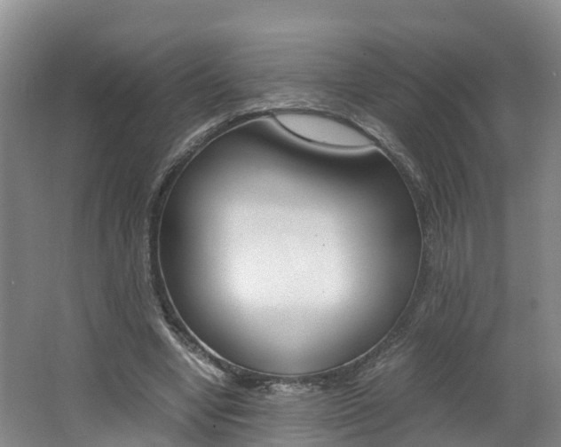X0000062650442200512211038