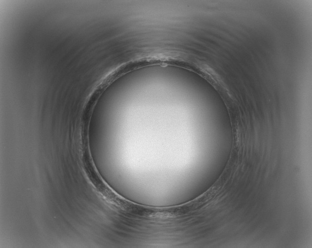 X0000062650444200512211038
