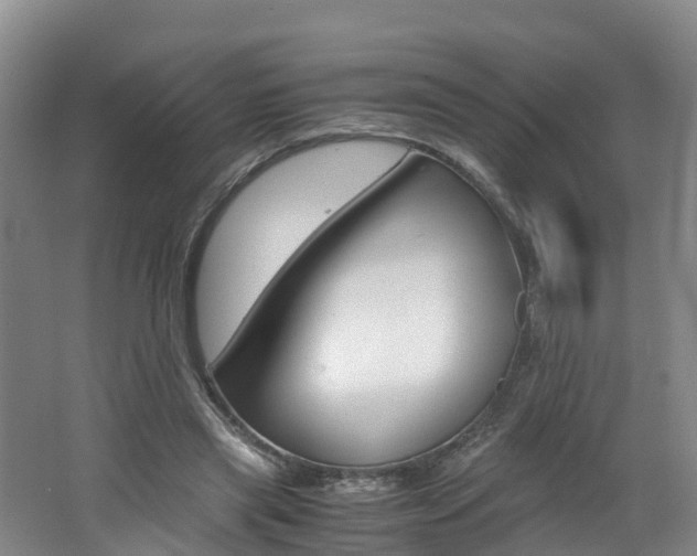 X0000062650445200512211038