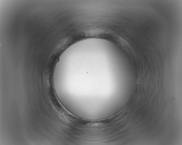 X0000062650452200512211038