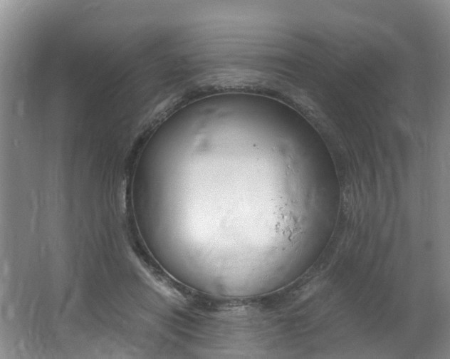 X0000062650454200512211038