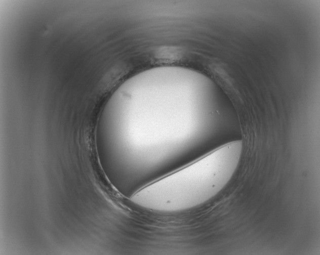 X0000062650455200512211038