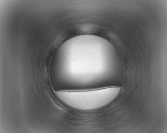 X0000062650459200512211038