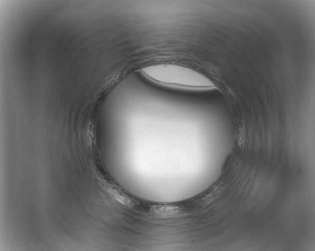 X0000062650476200512211039