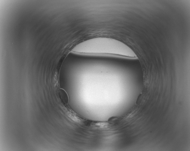 X0000062650478200512211039