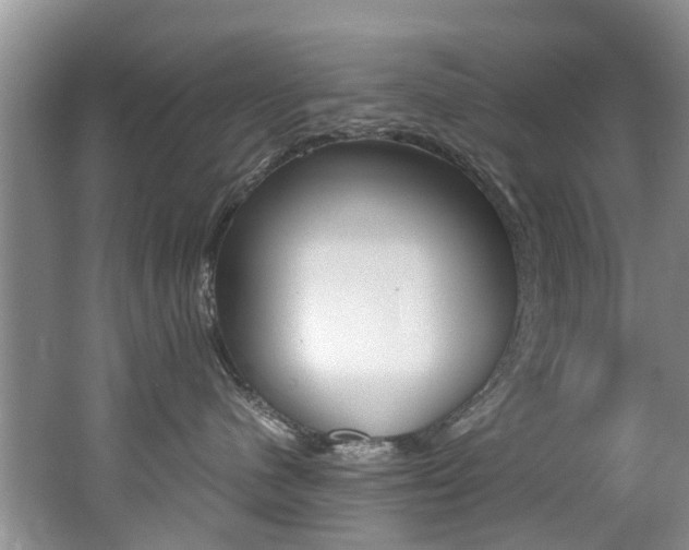 X0000062650480200512211039