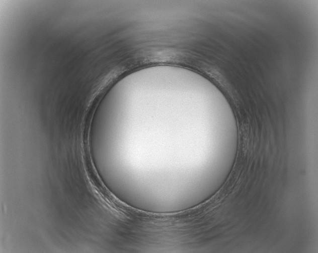 X0000062650482200512211038