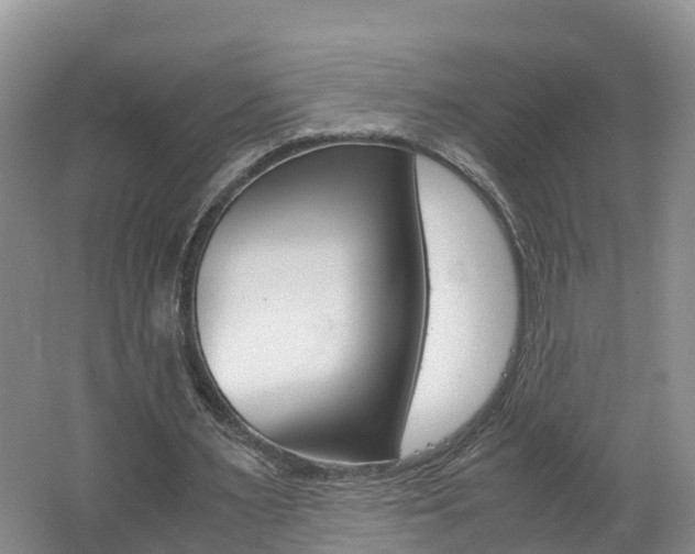 X0000062650483200512211038