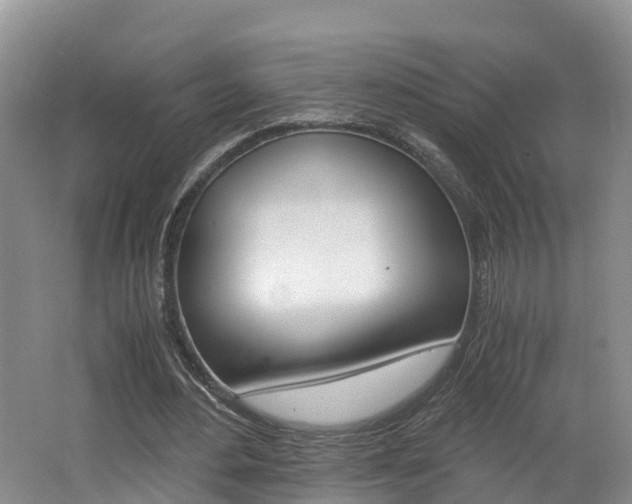 X0000062650484200512211038