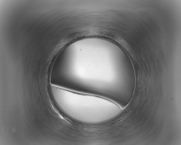 X0000062650485200512211038