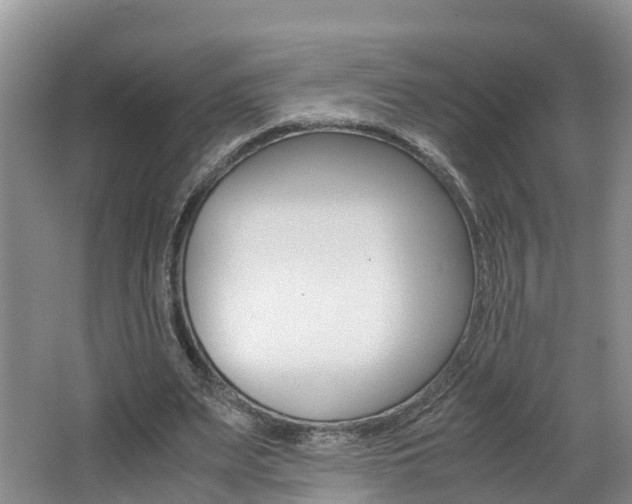 X0000062650487200512211038