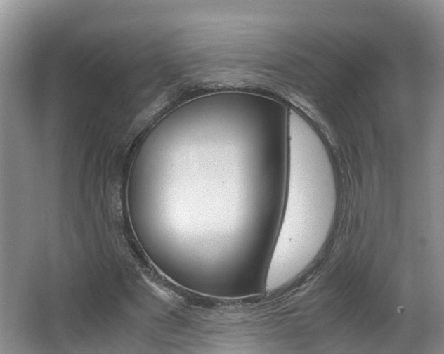 X0000062650489200512211038