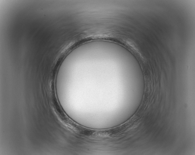 X0000062650491200512211038