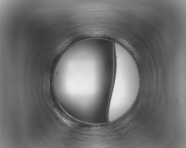 X0000062650493200512211038