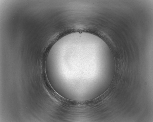 X0000062650496200512211038