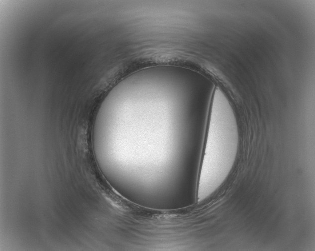 X0000062650497200512211038