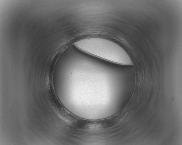 X0000062650500200512211038