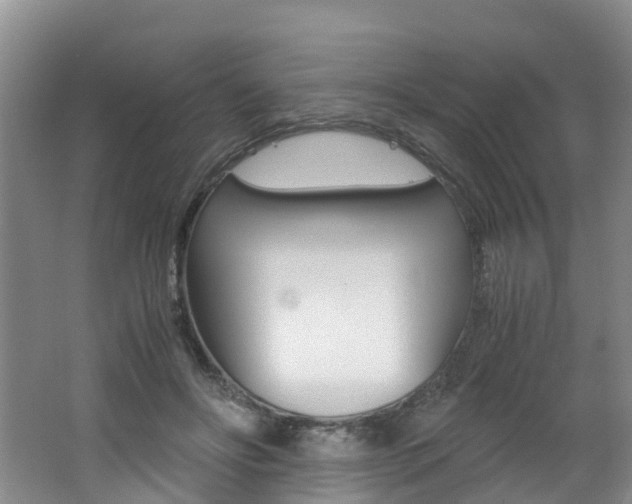 X0000062650502200512211038