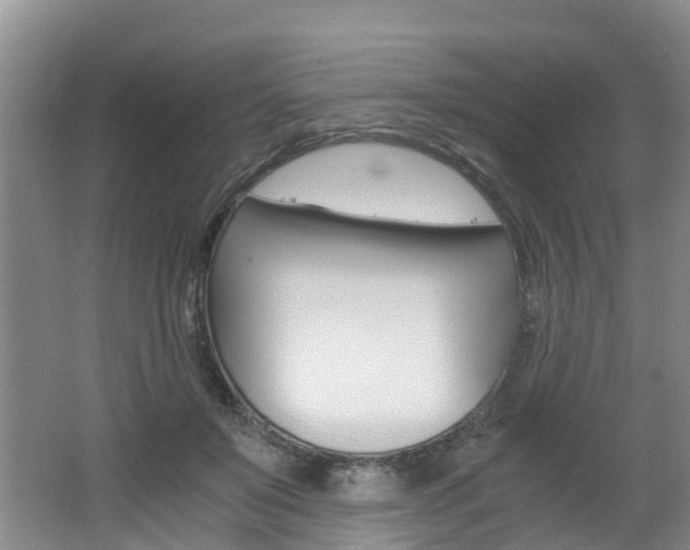 X0000062650503200512211038